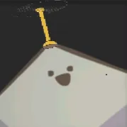 Buja